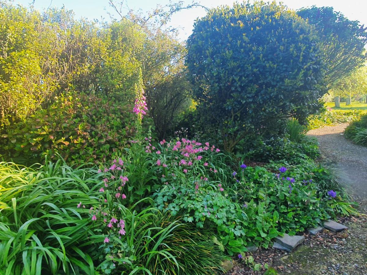 Streamside Country Manor Bed & Breakfast Walton Dış mekan fotoğraf
