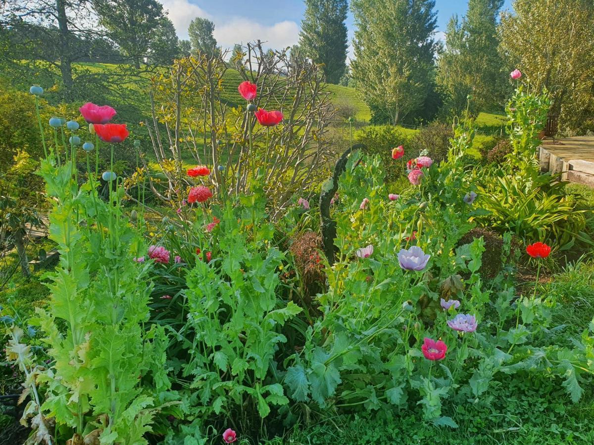 Streamside Country Manor Bed & Breakfast Walton Dış mekan fotoğraf